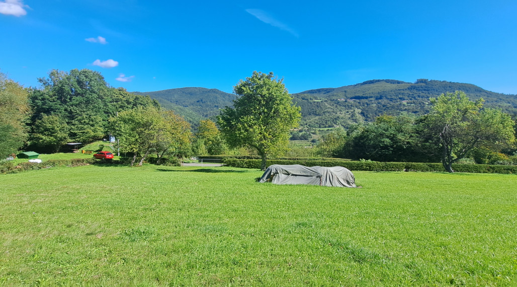 Predaj Pozemok o výmere 4200 m² v obci Pitelová