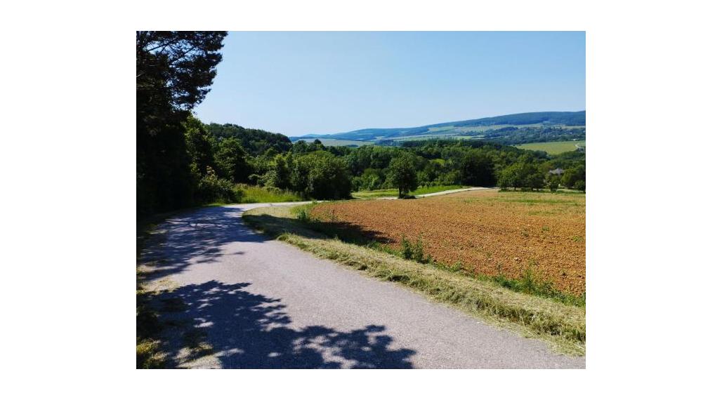 Pozemok v obci Jablonka o výmere 773m2.