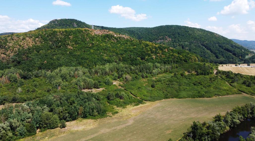 Pozemok o výmere 1267 m2 v extraviláne Žiar nad Hronom