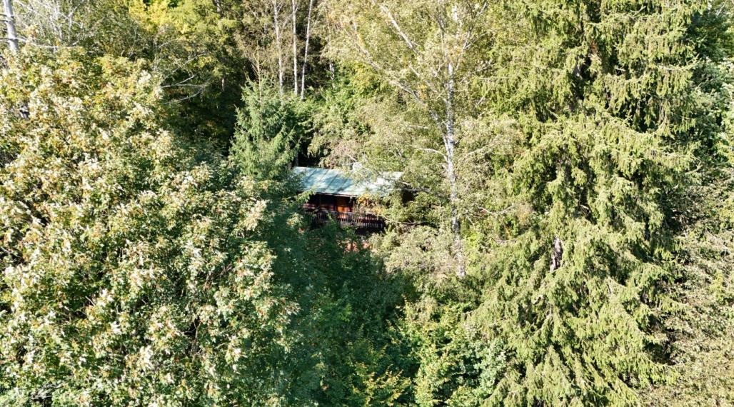 CHATA UPROSTRED LESA, POZEMOK 1782m2, ČADCA - BREHY