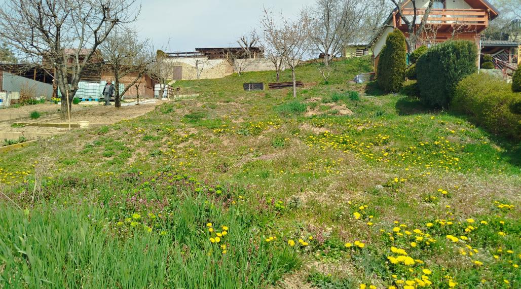 Slnečná záhrada s masívnou pivnicou  a krásnym výhľadom na okolie v Spišskej Novej Vsi