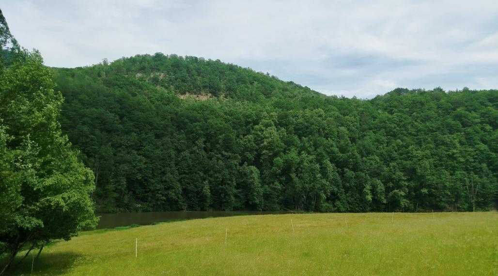 EXKLUZÍVNE: Rozprávkový pozemok 1 708 m2 priamo na brehu Hornádu – Margecany