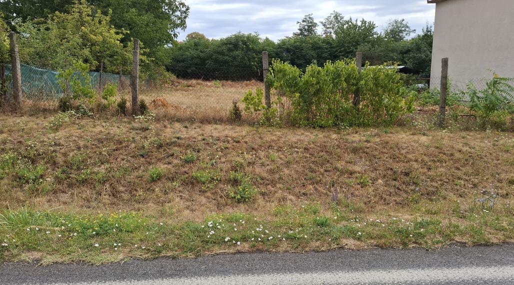 Slnečný pozemok na výstavbu domu, 850 m2, Čata, okr. Levivce