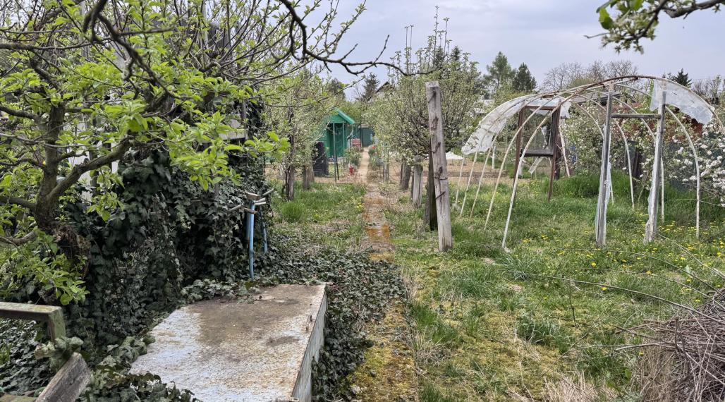 Záhrada na predaj Šaľa pri tenisových kurtoch 298 m2