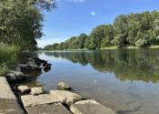 Záhrada v Kráľovej nad Váhom 260 m2 - fotografia 4