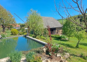 Rodinný dom (2x bytová jednotka) 5400m2 Podbranč pri Senici - fotografia 34