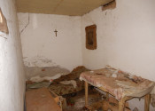 Vinica na predaj, 2500 m2, Farná, okr. Levice - fotografia 3