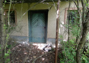 Vinica na predaj, 2500 m2, Farná, okr. Levice - fotografia 4