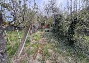 Záhrada na predaj Šaľa pri tenisových kurtoch 298 m2 - fotografia 6