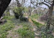 Záhrada na predaj Šaľa pri tenisových kurtoch 298 m2 - fotografia 9
