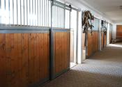 Vila Ranč - Krásna príroda, jazero, chov koní, apartmány, bazén, bowling, spoločenské akcie, kopec prírody, športu a relaxu - fotografia 13