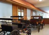Vila Ranč - Krásna príroda, jazero, chov koní, apartmány, bazén, bowling, spoločenské akcie, kopec prírody, športu a relaxu - fotografia 14