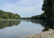 Záhrada v Kráľovej nad Váhom 260 m2 - fotografia 6