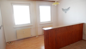 1 izbový byt,46 m2,čiastočná rekonštrukcia,Rybníky V, Levice