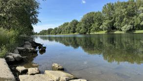 Záhrada v Kráľovej nad Váhom 260 m2