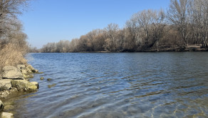 Záhrada na predaj Šaľa pri tenisových kurtoch 298 m2