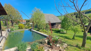 Rodinný dom (2x bytová jednotka) 5400m2 Podbranč pri Senici