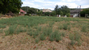 Slnečný pozemok 812 m2, Hronovce, okr. Levice