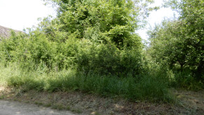Vinica na predaj, 2500 m2, Farná, okr. Levice