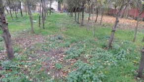 Rodinný dom, 130 m2, garáž, Kuraľany, okr. Levice
