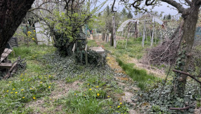 Záhrada na predaj Šaľa pri tenisových kurtoch 298 m2