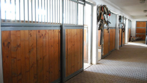 Vila Ranč - Krásna príroda, jazero, chov koní, apartmány, bazén, bowling, spoločenské akcie, kopec prírody, športu a relaxu