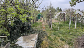 Záhrada na predaj Šaľa pri tenisových kurtoch 298 m2