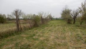 MOŽNÁ DOHODA! Rodinný dom, 130 m2, Lok, okr. Levice
