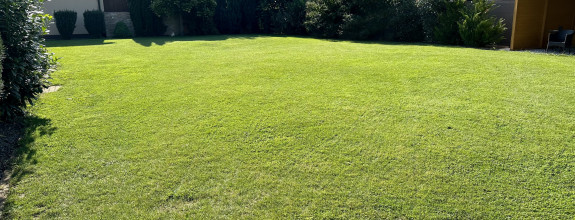 Pozemok 645 m2 pre rodinný dom Šaľa -ul. Kráľovská EXKLUZÍVNE