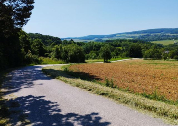 Pozemok v obci Jablonka o výmere 773m2.