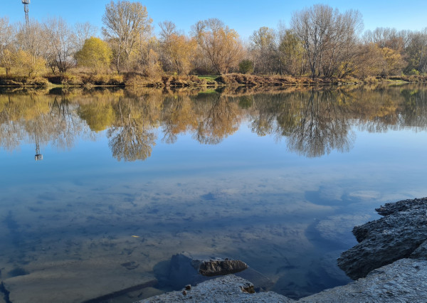 Pre konkrétneho klienta hľadám záhradu s chatkou v Kráľovej nad Váhom priamo pred Váhom, nie v bránach