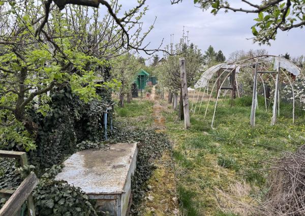 Záhrada na predaj Šaľa pri tenisových kurtoch 298 m2