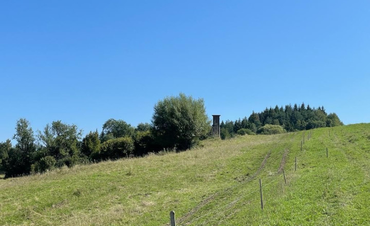 DIVINA - REKREAČNÝ POZEMOK O VÝMERE 1436 m2