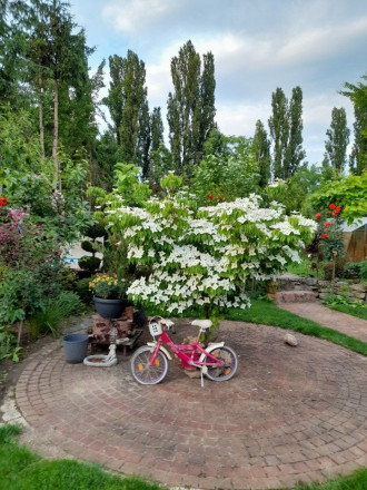 Na predaj rodinný dom v Šali/Veči - fotografia 4