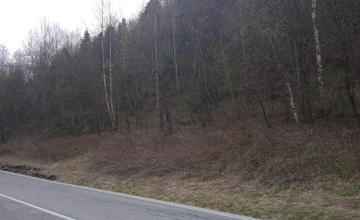 Rekreačný pozemok na okraji obce Nálepkovo o celkovej rozlohe 3021 m2 - fotografia 2