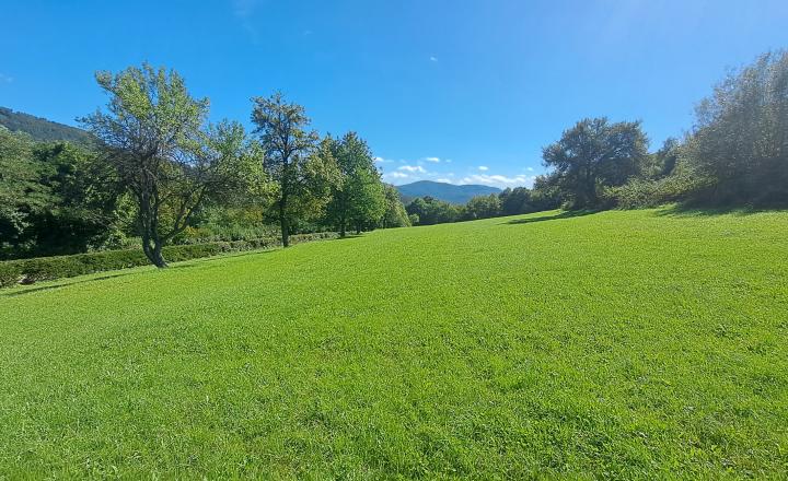 Rezervované! Predaj Pozemok o výmere 4200m² v obci Pitelová
