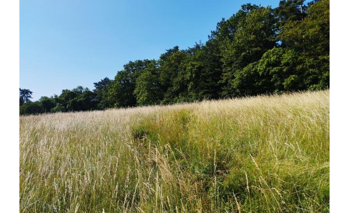 Stavebný pozemok Bzince pod Javorinou - Vrzavka 12801m2. - fotografia 3