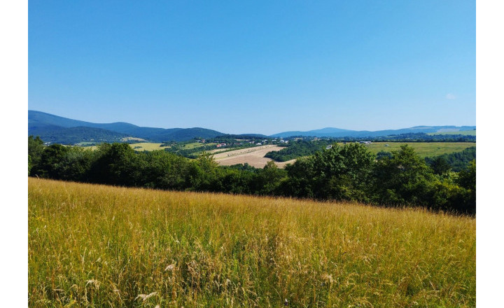 Stavebný pozemok Bzince pod Javorinou - Vrzavka 12801m2. - fotografia 4