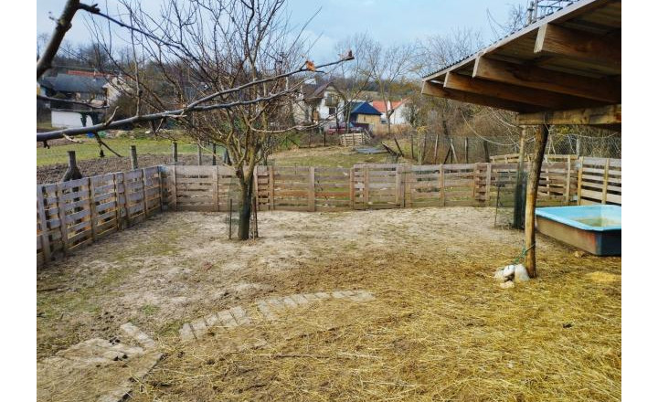 Rekreačný pozemok v obci Chtelnica o výmere 1140m2.