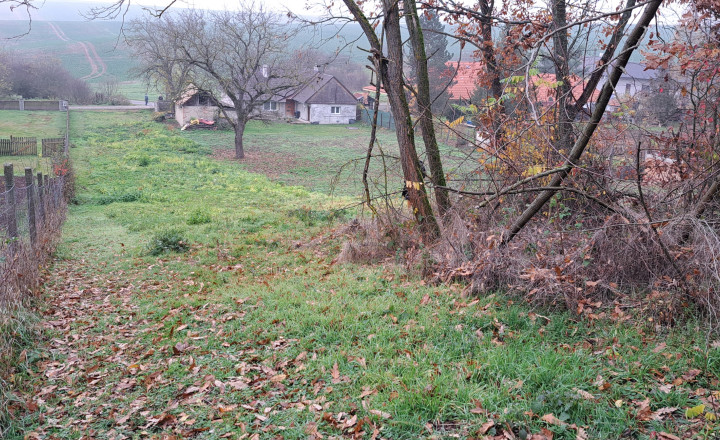Pozemok na predaj v obci Veľké Krškany (Jakubie) Levice - fotografia 1