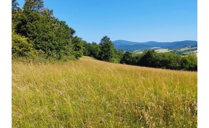 Stavebný pozemok Bzince pod Javorinou - Vrzavka 3492m2 - fotografia 1