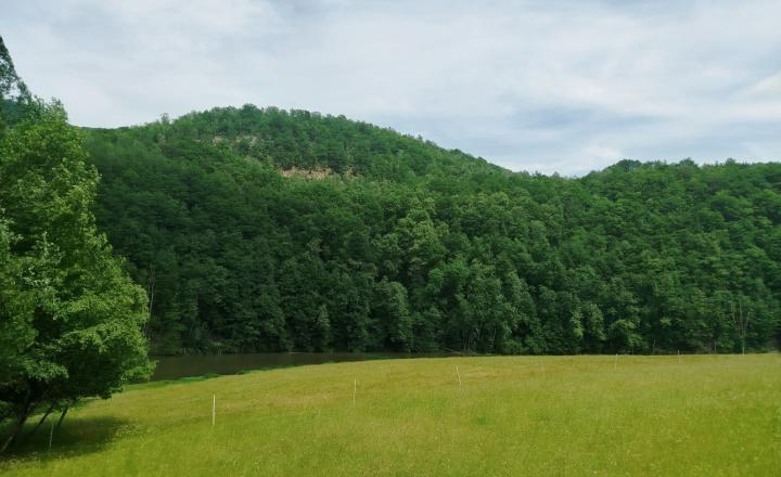EXKLUZÍVNE: Rozprávkový pozemok 1 708 m2 priamo na brehu Hornádu – Margecany - fotografia 3