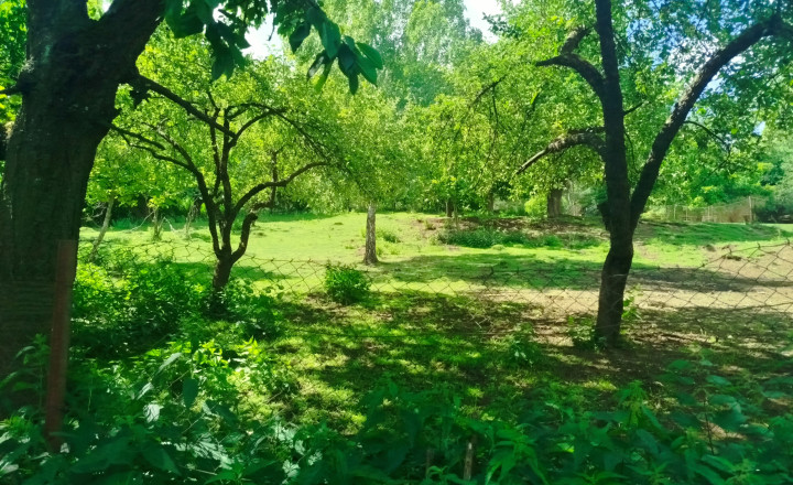 INVESTIČNÁ PRÍLEŽITOSŤ: Takmer 30-árový pozemok s obrovskou víziou v lone prírody (Miklušovce) - fotografia 8