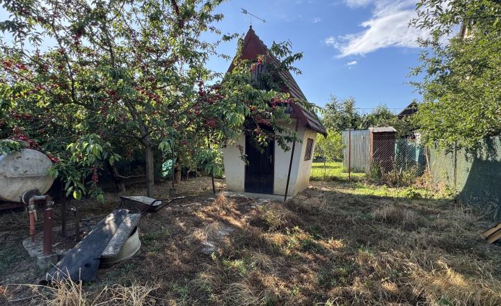 Záhrada v Kráľovej nad Váhom 260 m2