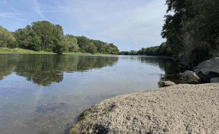 Záhrada v Kráľovej nad Váhom 260 m2 - fotografia 1