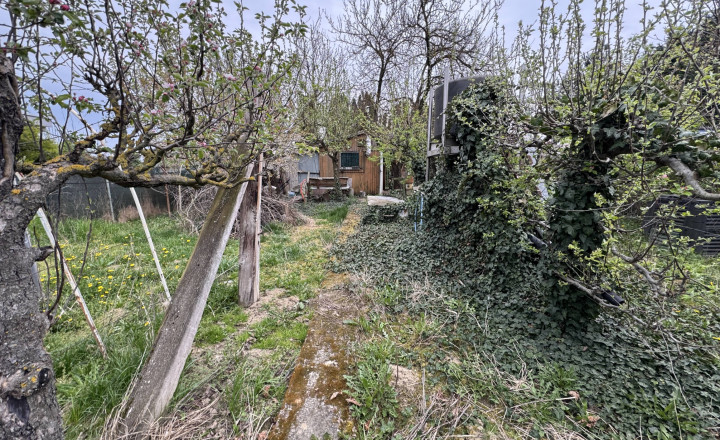 Záhrada na predaj Šaľa pri tenisových kurtoch 298 m2 - fotografia 5