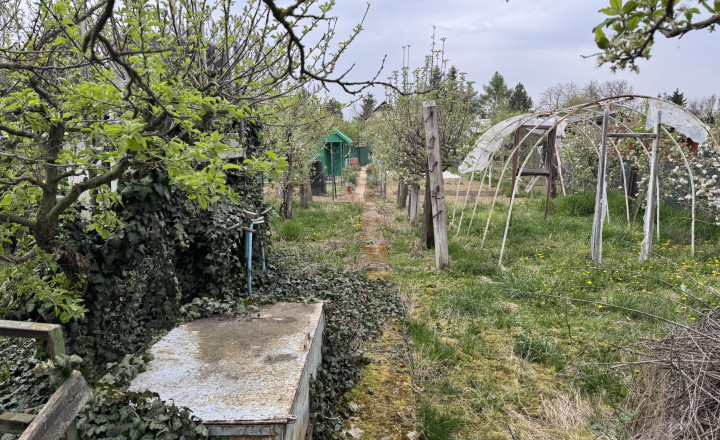 Záhrada na predaj Šaľa pri tenisových kurtoch 298 m2 - fotografia 6