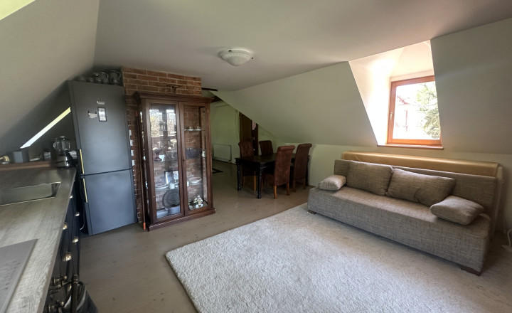 Rodinný dom (2x bytová jednotka) 5400m2 Podbranč pri Senici - fotografia 15
