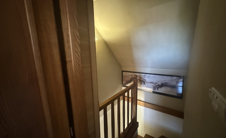 Rodinný dom (2x bytová jednotka) 5400m2 Podbranč pri Senici - fotografia 19