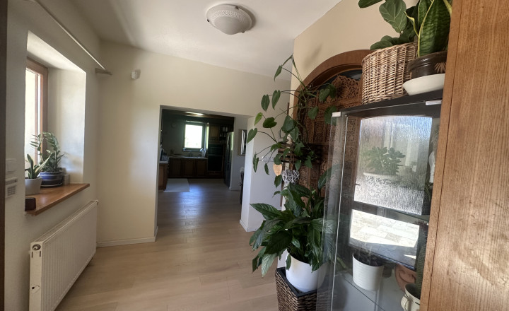 Rodinný dom (2x bytová jednotka) 5400m2 Podbranč pri Senici - fotografia 30